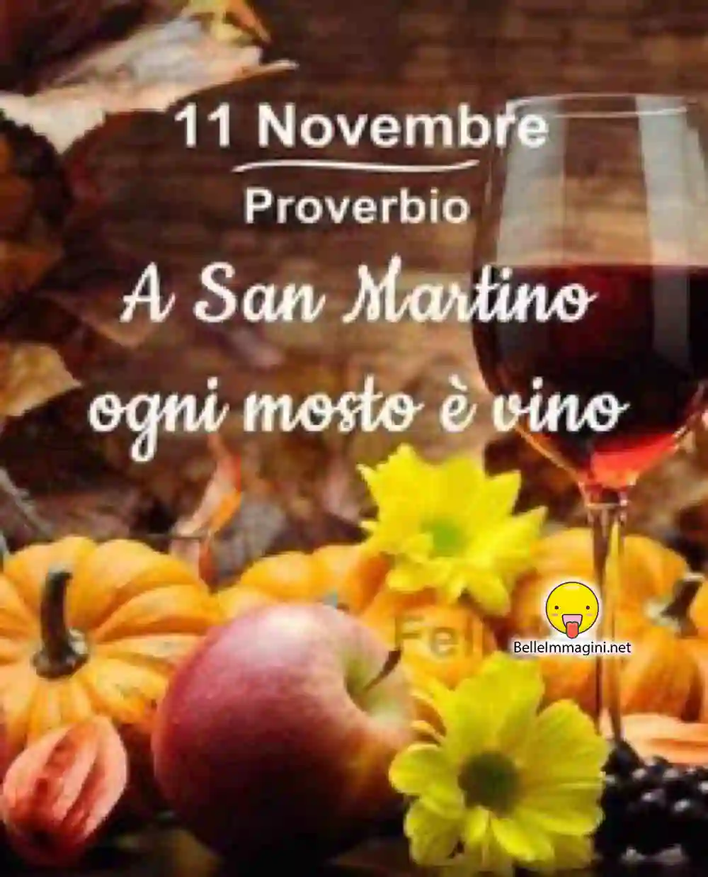 San Martino 11 Novembre 011