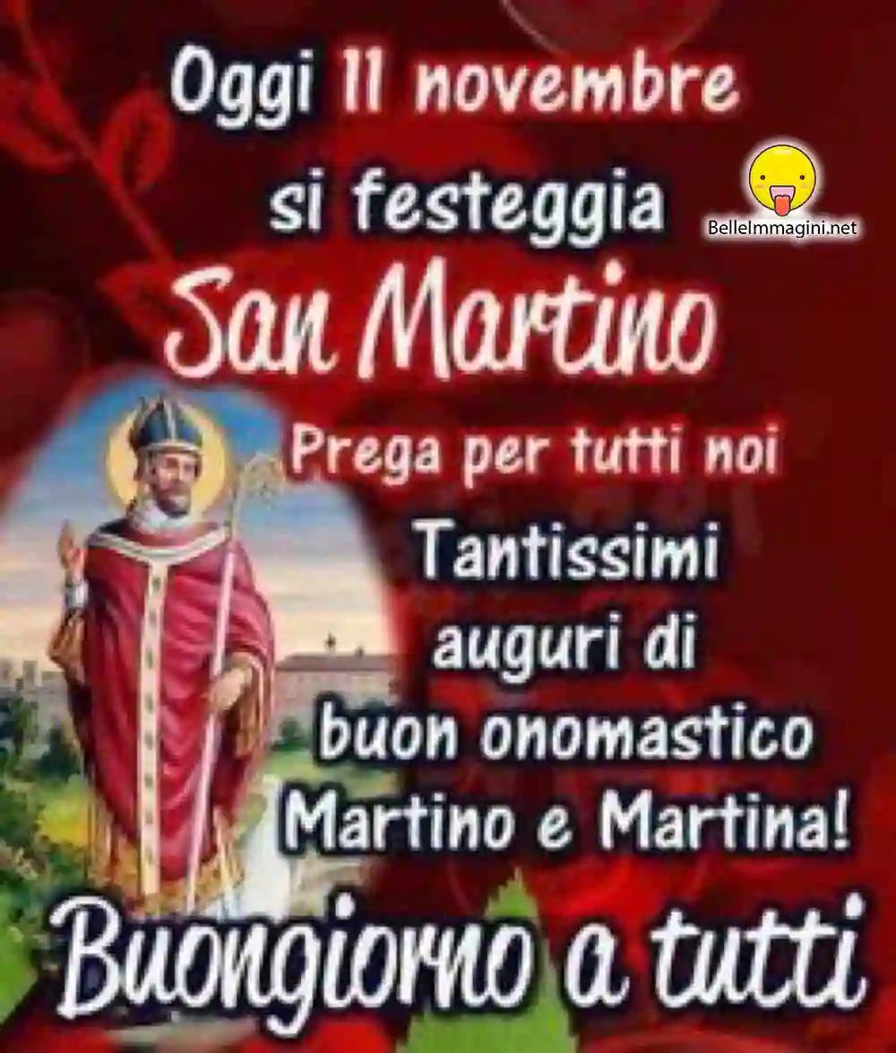 San Martino 11 Novembre 018